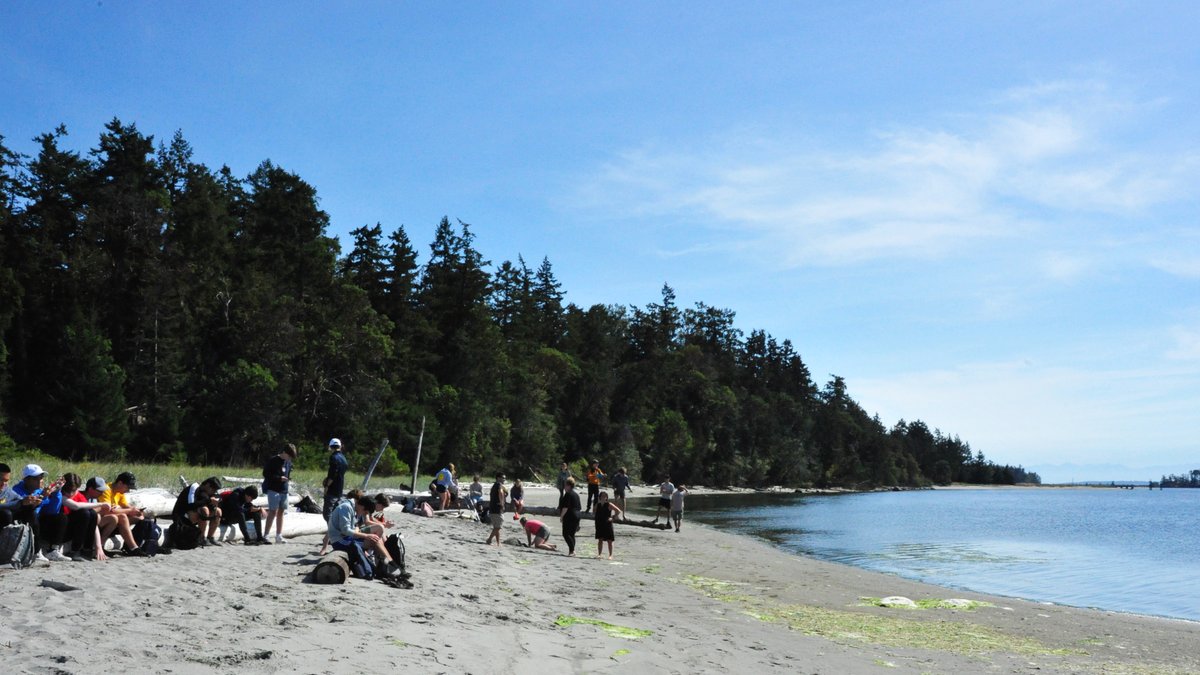 glenlyonnorfolk's tweet photo. On their second day of school, the entire Grade 11 class took part in an Outdoor Orientation Day at Sidney Spit, a Gulf Islands National Park located just off Sidney.
Read more: https://t.co/HyE3BvU9jS
#mygns #grade11 #sidneyspit https://t.co/WPJmktj87Y