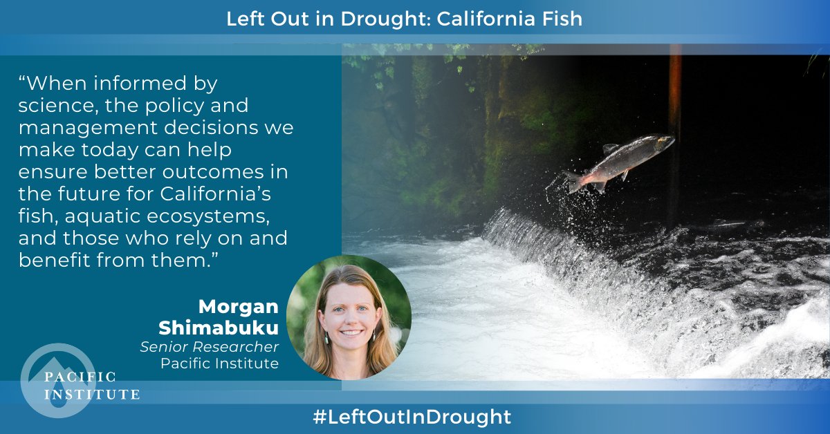 “Drought has intensified the crisis of many fish species in #CA, resulting in deadly conditions for some. This impacts communities, economies, and ecosystems,” Morgan Shimabuku, Senior Researcher at the Pacific Institute and author of #LeftOutInDrought: bit.ly/3DbwkKD