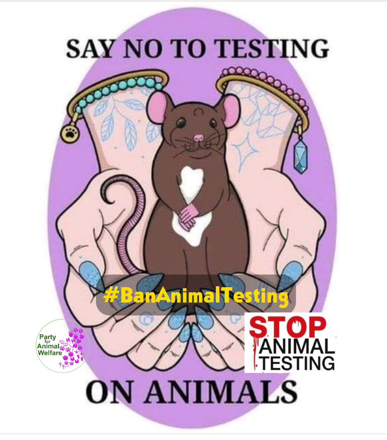 AnimalPartyIE's tweet photo. ๐๐ญ
Among 11,000 Irish citizens to sign the petition to #bananimaltesting in EU were #VictoriaSmurfit, #ThaliaHeffernan and #LoveIsland winner, #GregOShea. 1.4 million EU citizens signed the petition which was supported by The #BodyShop and #Dove . https://t.co/vRbihlw7xu https://t.co/a3JNrjhJqx