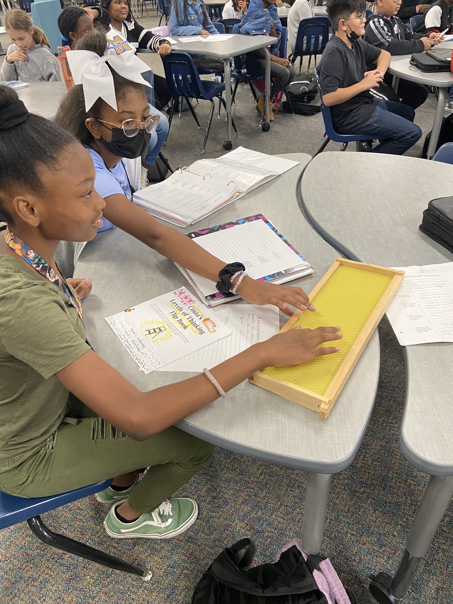Tapp Middle School AVID tweet media