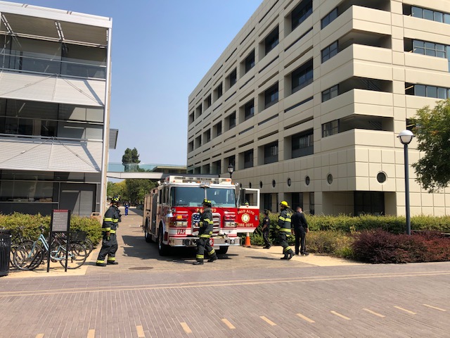 Dev Bio @ Stanford tweet media