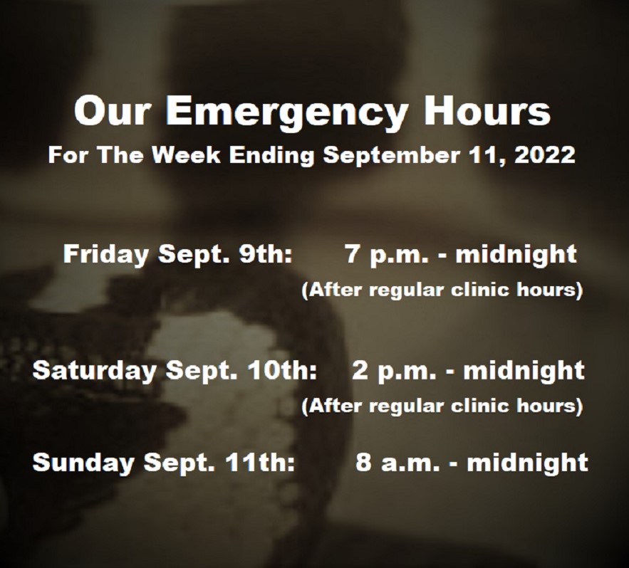 ExoticPetVets's tweet photo. Our #EmergencyHours are starting - and not only do they run until midnight tonight, but they also run until #midnight all weekend long! Our after-hours emergency service runs from 7 p.m. to midnight tonight, 2 p.m. to midnight tomorrow and 8 a.m. to midnight on Sunday. https://t.co/AcdJ6Cxjr2