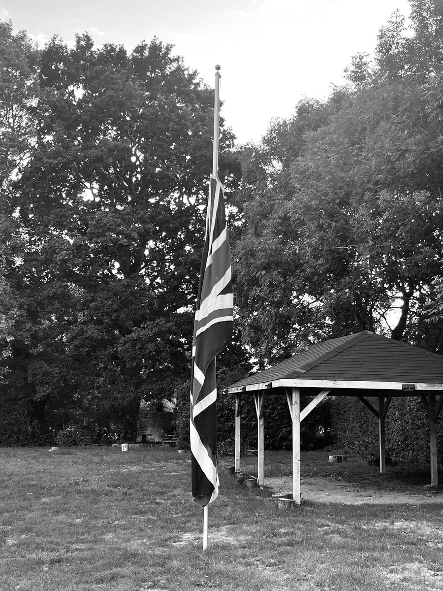 Cam Beale ⚜️ tweet media