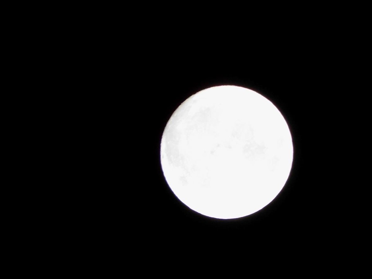 Assoc Prof Alison L Griffiths (Dr) tweet media