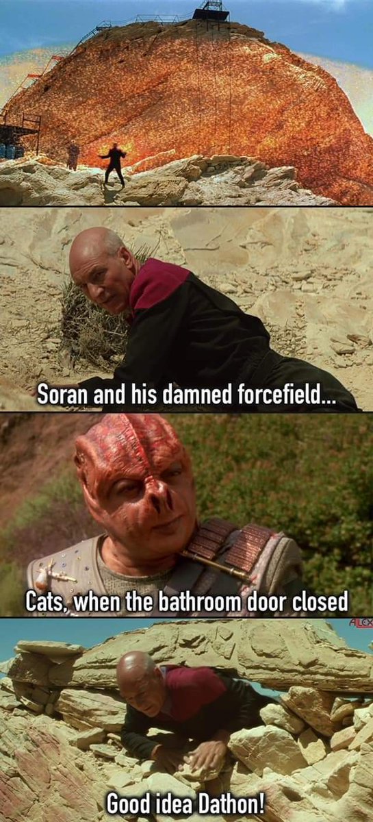 The walls fell
#StarTrek #StarTrekFamily #StarTrekUnitedGives #StarTrekTNG @SirPatStew