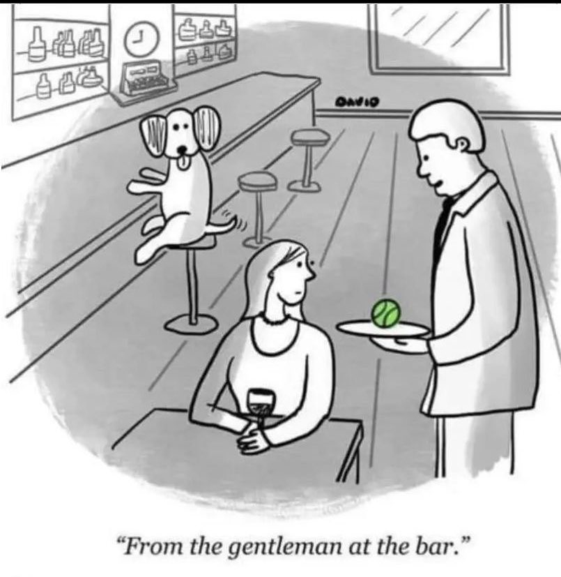 Kevin Madden tweet media