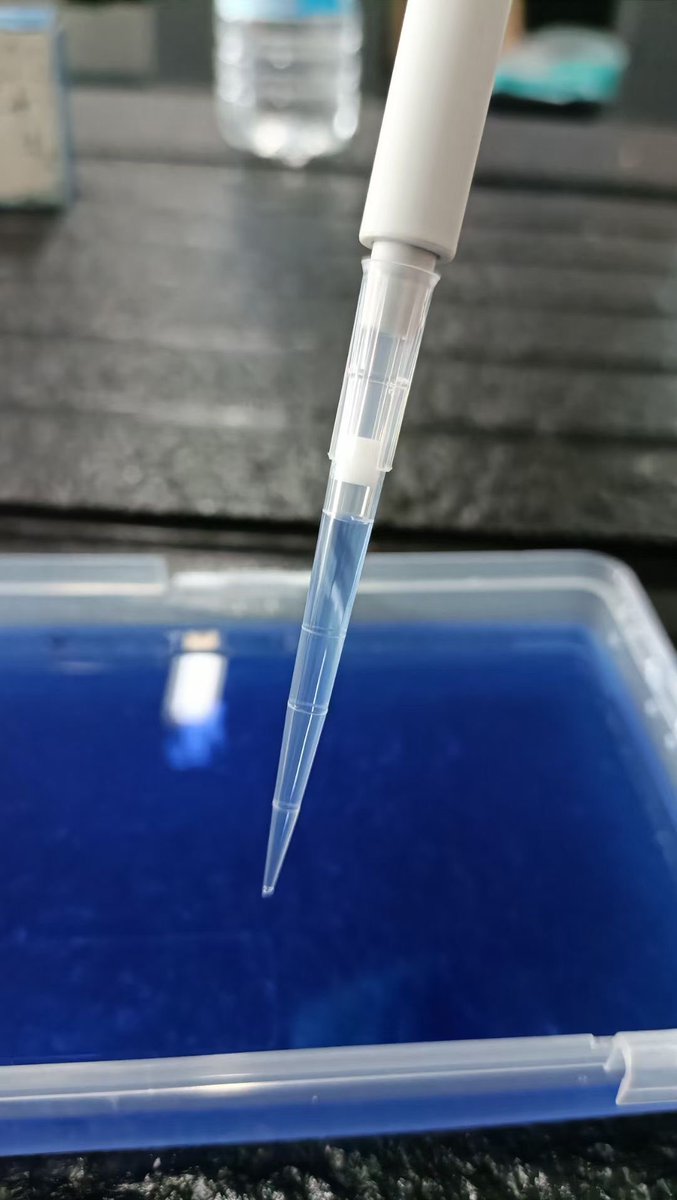 LabConsumables's tweet image. Pipette tips, puntas para pipetas
