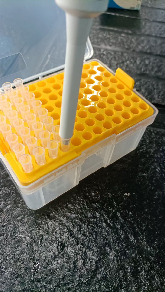 LabConsumables's tweet image. Pipette tips, puntas para pipetas
