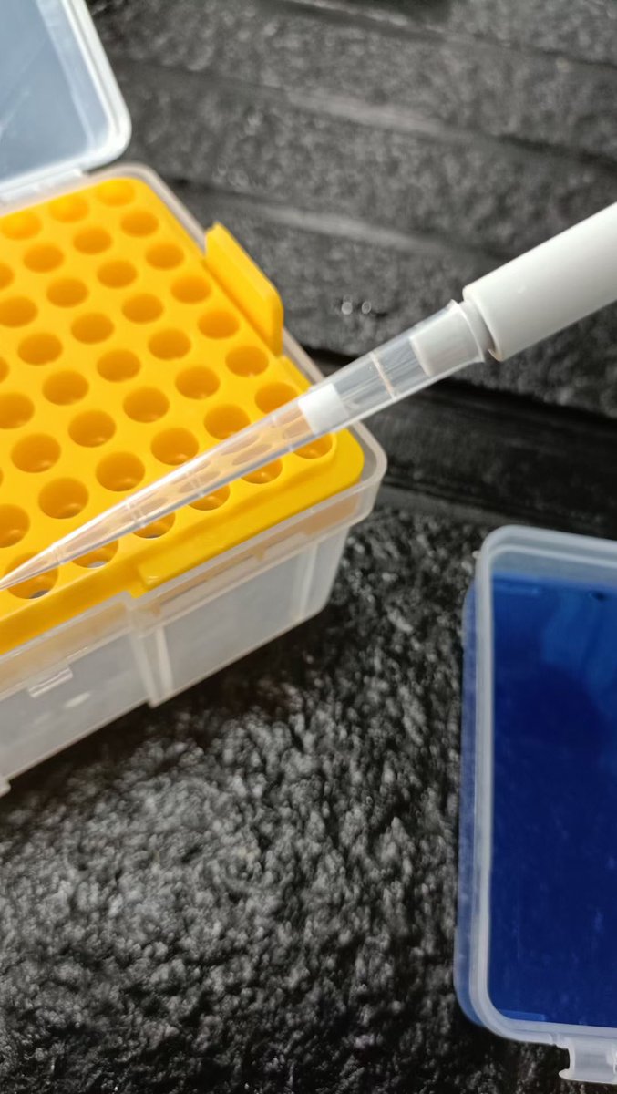 LabConsumables's tweet image. Pipette tips, puntas para pipetas