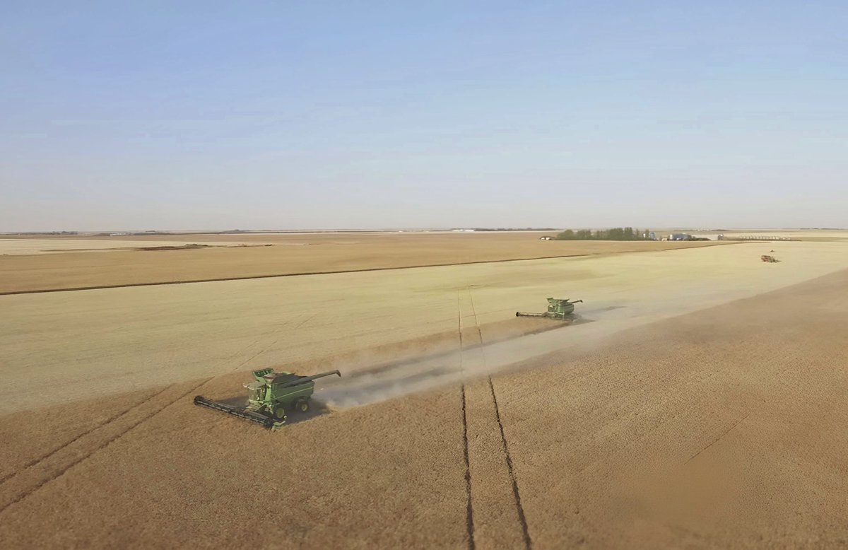 rhetter_nik's tweet photo. Snapped a couple neat shots the other night while the crew was working around home base @CalidonLeasing #harvest2022 #lovemyfarm #familyfarm https://t.co/wf0xOwAVx1