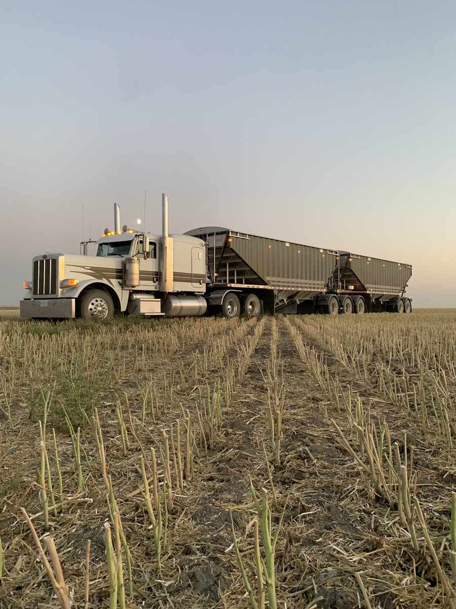 rhetter_nik's tweet photo. Snapped a couple neat shots the other night while the crew was working around home base @CalidonLeasing #harvest2022 #lovemyfarm #familyfarm https://t.co/wf0xOwAVx1