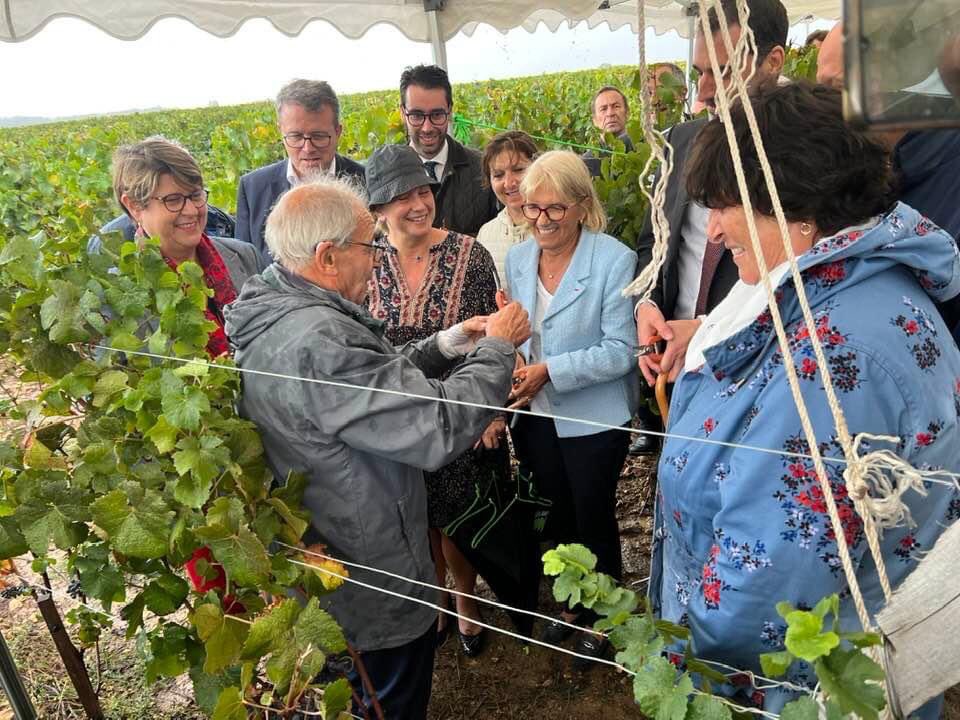 VLacroute's tweet photo. [Vignoble]
🍇 11 000 pieds de vigne plantés par 6 #agriculteurs franciliens !
Très heureuse d’inaugurer ce vignoble dans la commune de  @Pierre_VALLEE91 grâce au soutien de la Région @iledefrance, @CDEssonne @durovray, PNR et @CAIDF ! 
👍Première vendange d’ici 15 jours https://t.co/gfbxMLwRh6