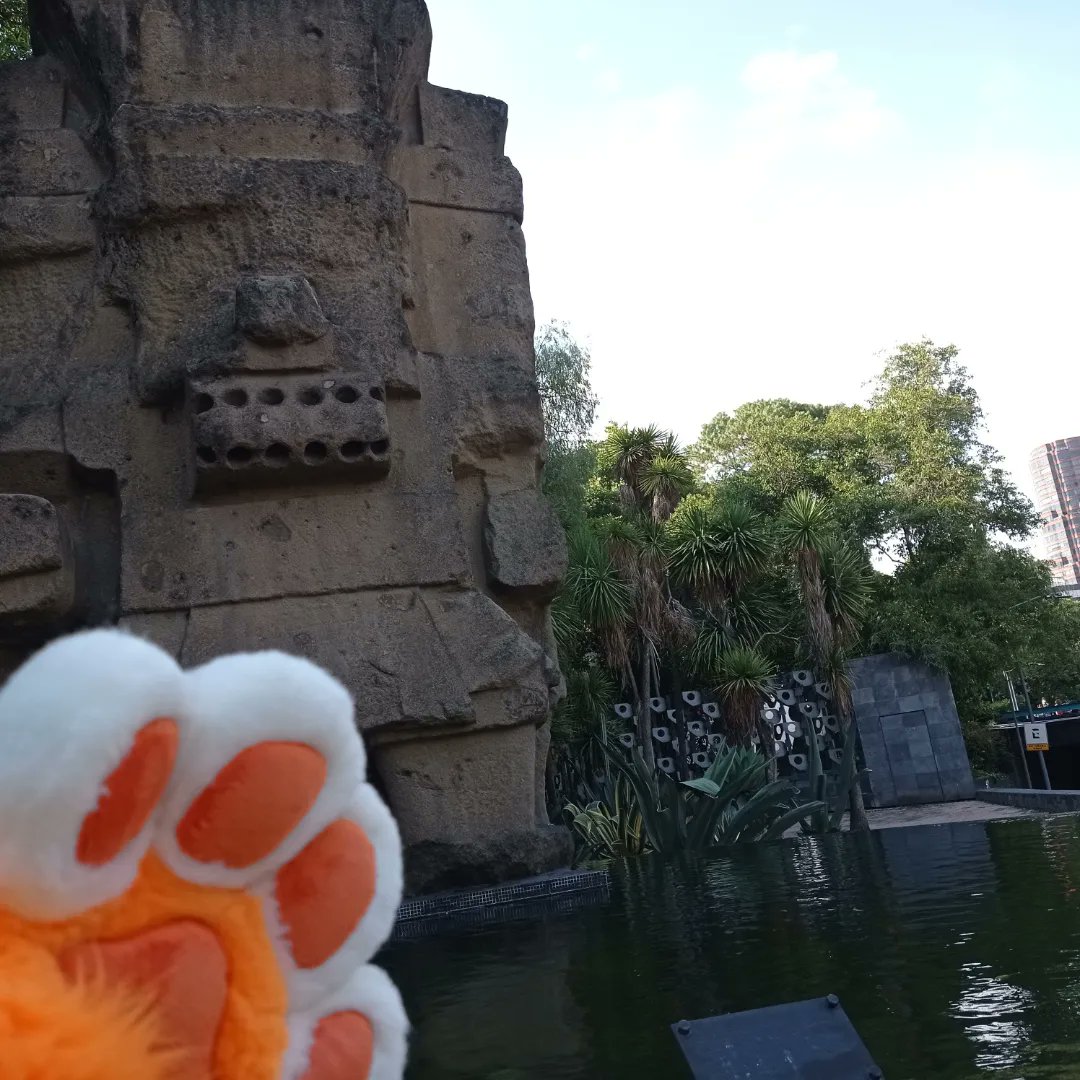 Baskerville_ID's tweet photo. #FursuitFriday #furryfandom #fursuit

Sunday in Chapultepec https://t.co/60WWjgXA1V