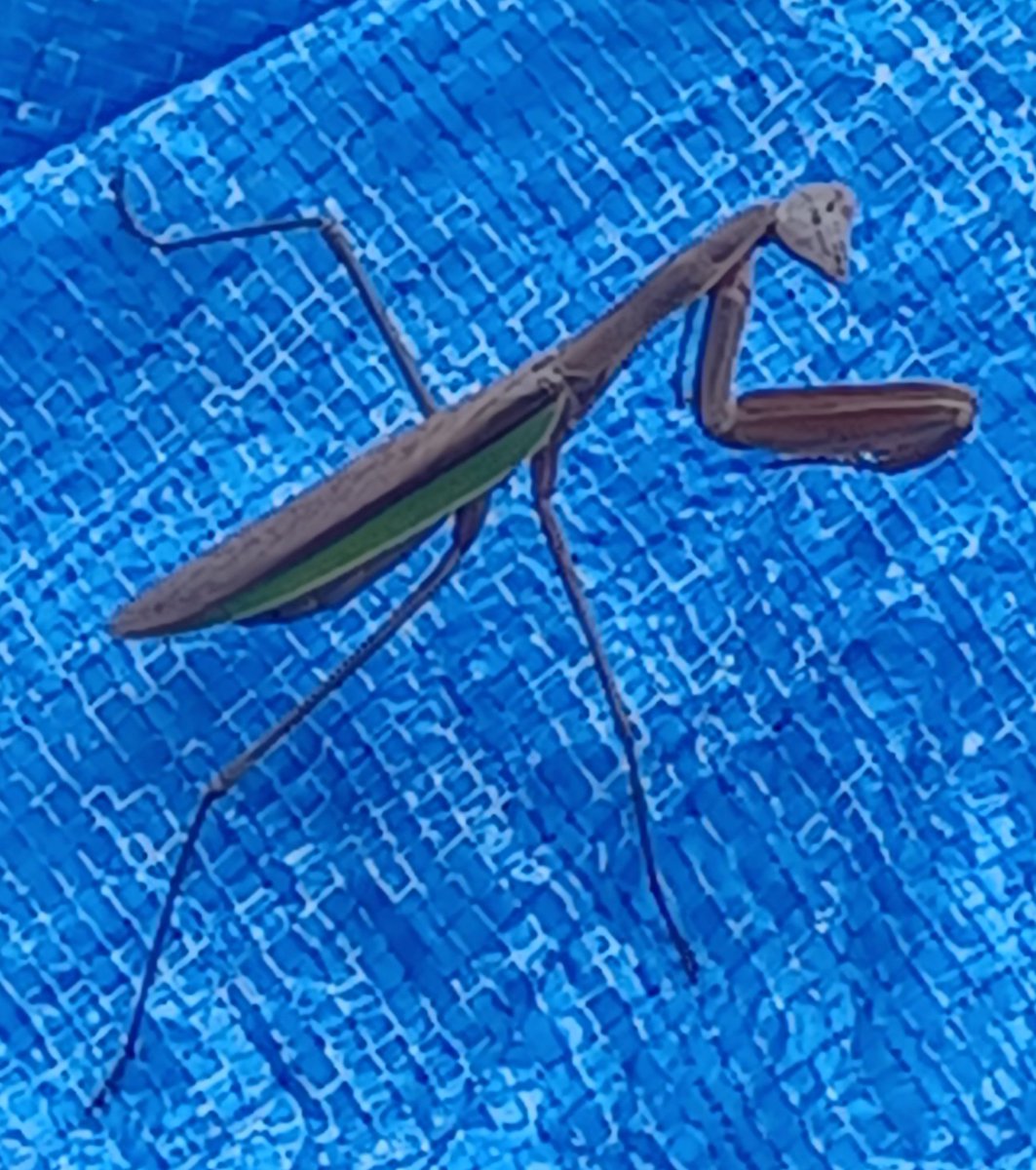 Eric C Brock tweet media