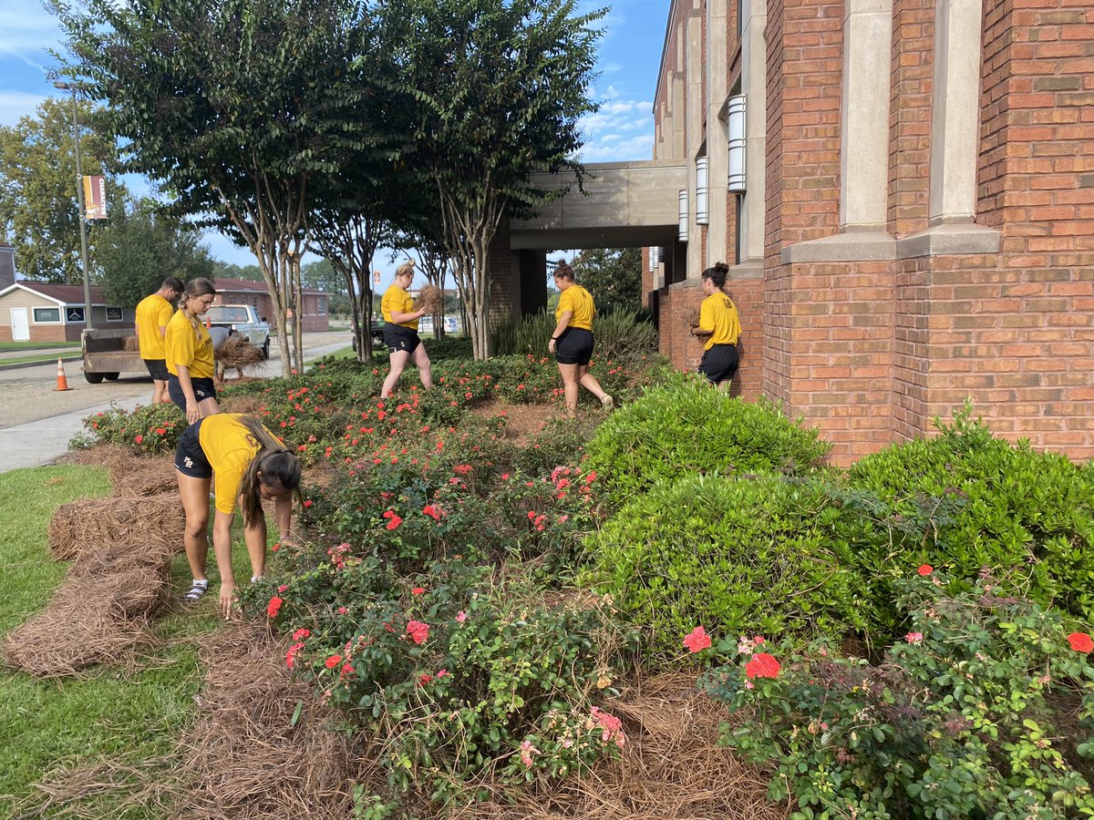 PearlRiverSB's tweet photo. Helping out Mr. Mike this morning lay out some pine straw! We are so thankful for everything he does to make our campus look beautiful! 🫶 #RRR #theriverisrising #helpinghands #prccsoftball https://t.co/7K3WO5vxdi
