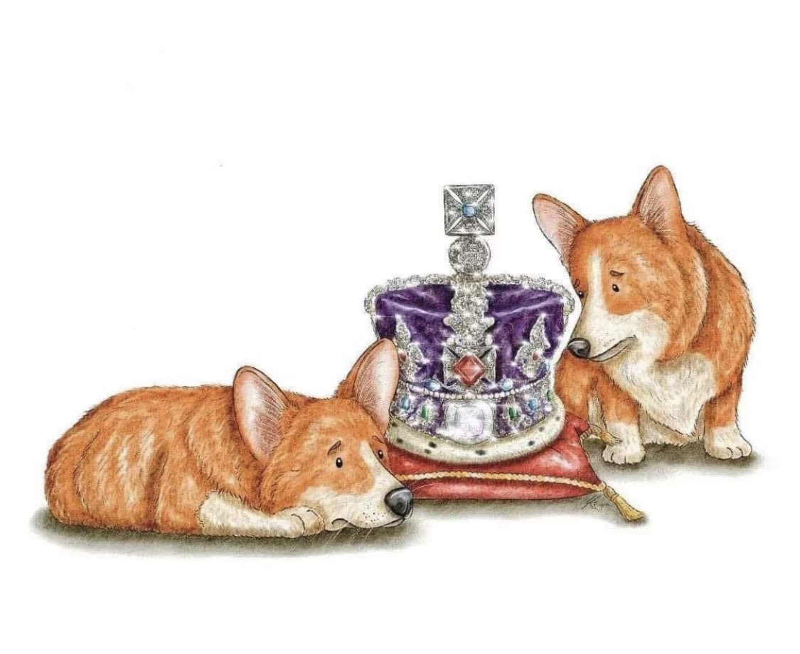 Grief effects animals as well #QueenElizabeth #Queen #QueenElizabethII #RoyalFamily