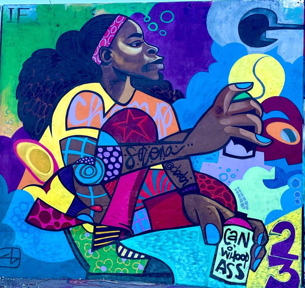 CoriBush's tweet photo. In honor of the G.O.A.T, @serenawilliams, this mural was created by STL legend @cbabibayoc on the Mural Mile (flood wall) during Paint Louis 2022. It’s around 3x my height. Amazing work! https://t.co/5EFzpoB0hQ