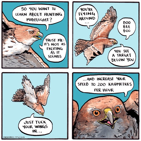 FalseKnees's tweet photo. https://t.co/dKdcn9DuUA