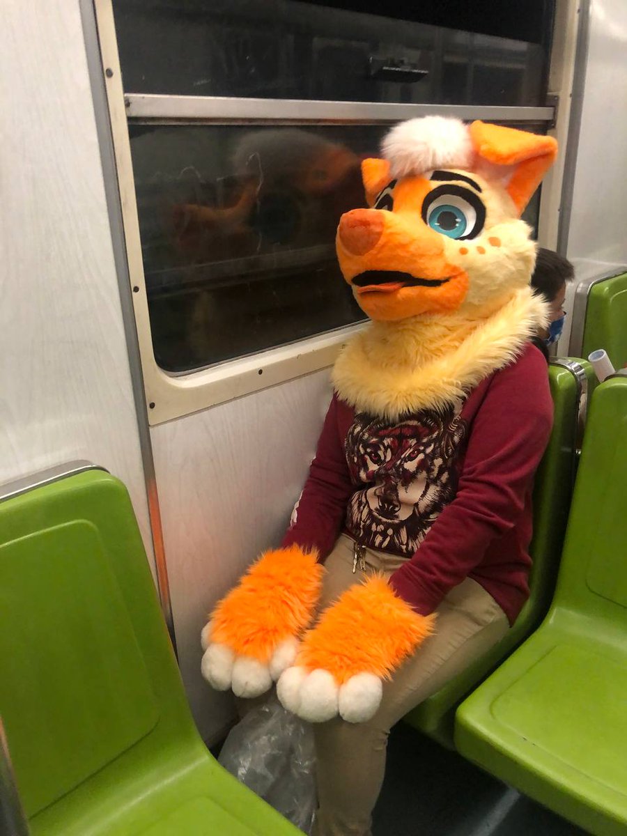 Baskerville_ID's tweet photo. #FursuitFriday 
Metro CDMX

👀 do not take photos in the subway.... https://t.co/NneIZpkJ5u