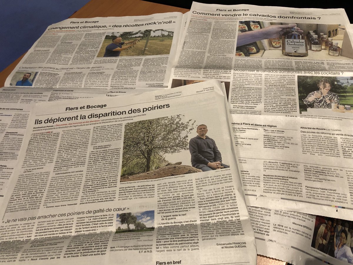 EmmFrancois's tweet photo. Dans les derniers épisodes de notre série d’été sur le #calvadosdomfrontais avec ⁦@NGuegan⁩, on parle disparition des poiriers, changement climatique, marketing et cocktails : https://t.co/M53wWkl9b9 ⁦@OuestFrance61⁩ https://t.co/Y6BSoLFDMr