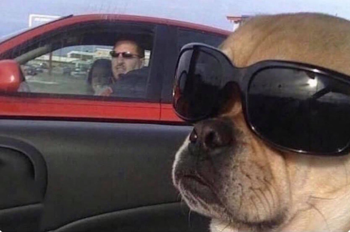 me Ignoring the car next to me after almost crashing in to it