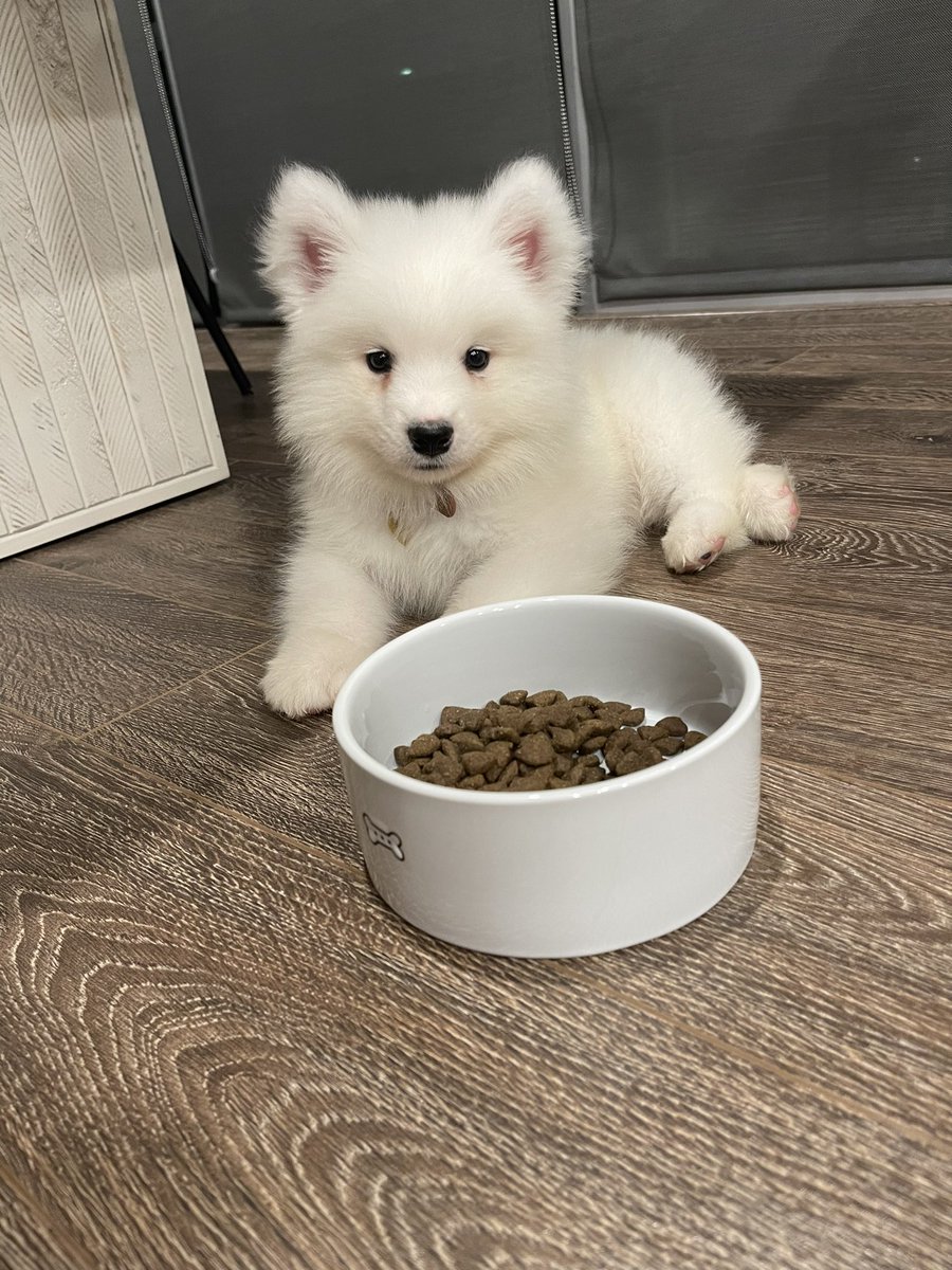 _ChrisAlia's tweet photo. Meet my son Yuki https://t.co/1rrNa78n52