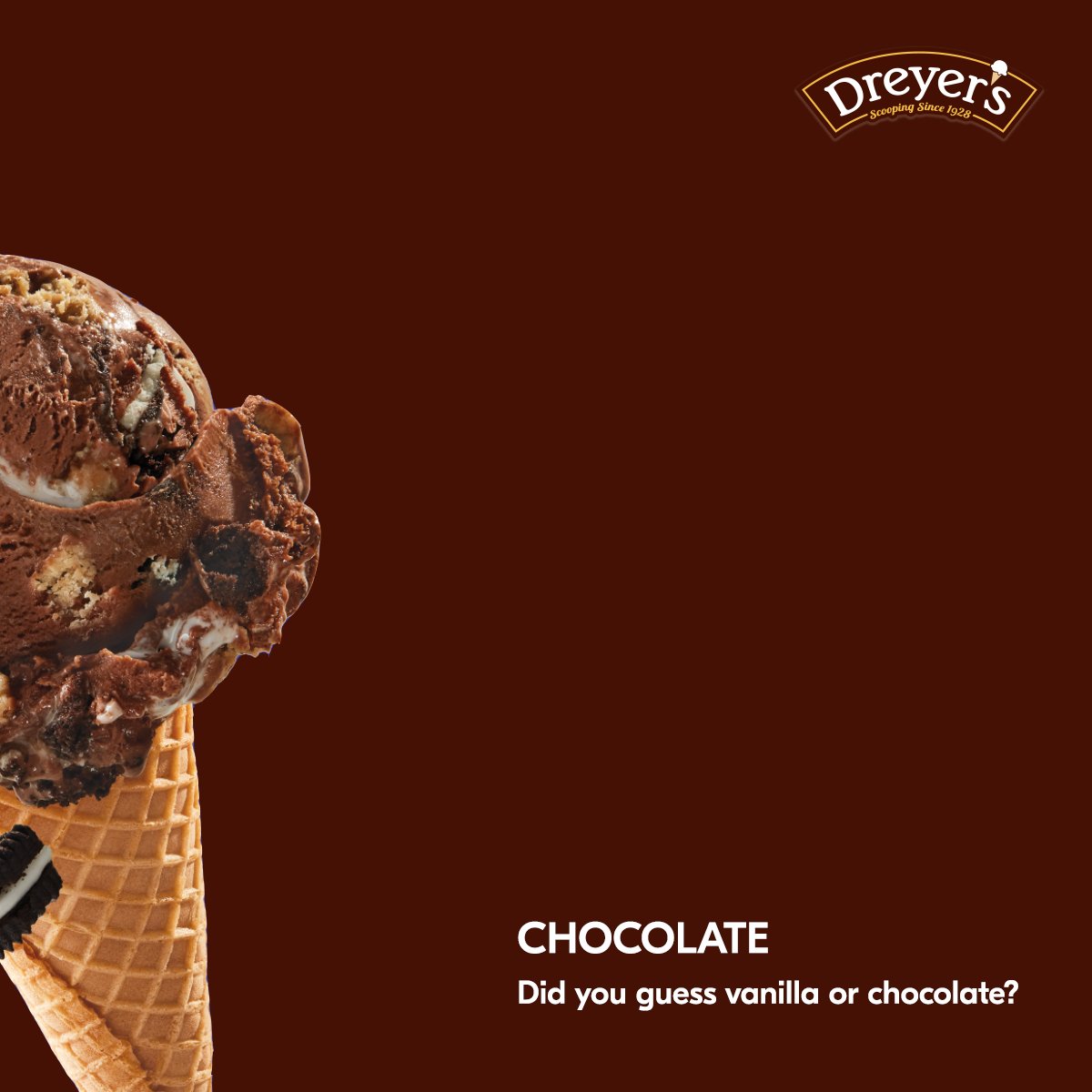 Chocolate 🍫 or vanilla 🍦? #funfactfridays