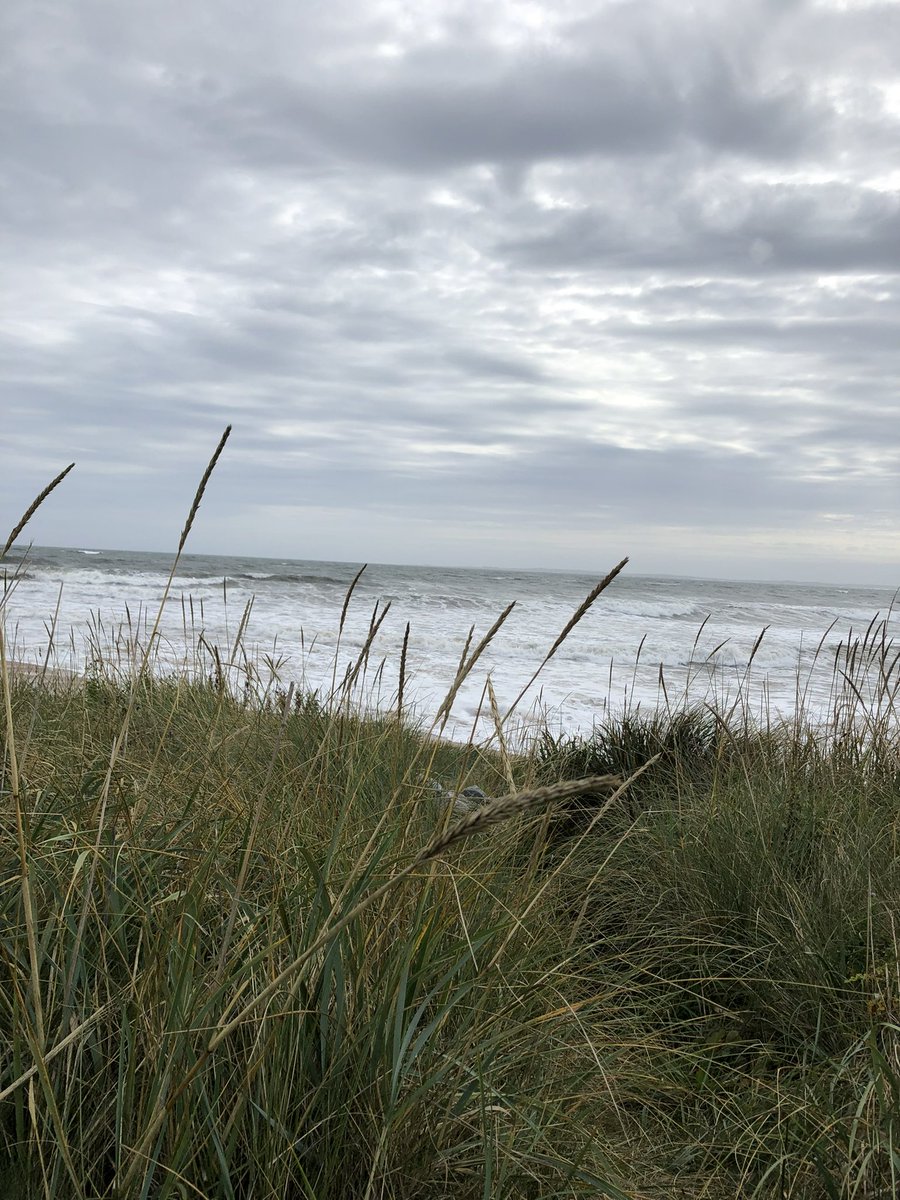 Another week at Dornoch comes to an end. Had some great golf and walks on the beach which certainly gave me time to reflect on our dear Ruff🌈. I will be back soon. Thanks for a great time <a href="/Top100golfquest/">BK Top Golf</a>