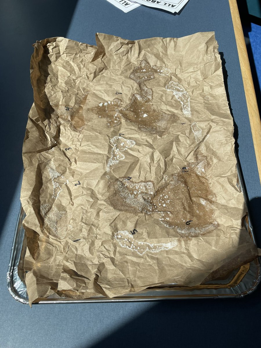 cblivers's tweet photo. Together, we made tiny oceans and proved that the salt is still there even when it dissolves! Thanks @MysterySci! 🌊🧂#DASDpride https://t.co/gMBfnql4El