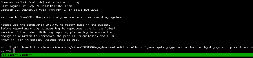 Dude i cant fucking keep up with how every different os and window manager has a diff way of pasting into the terminal
