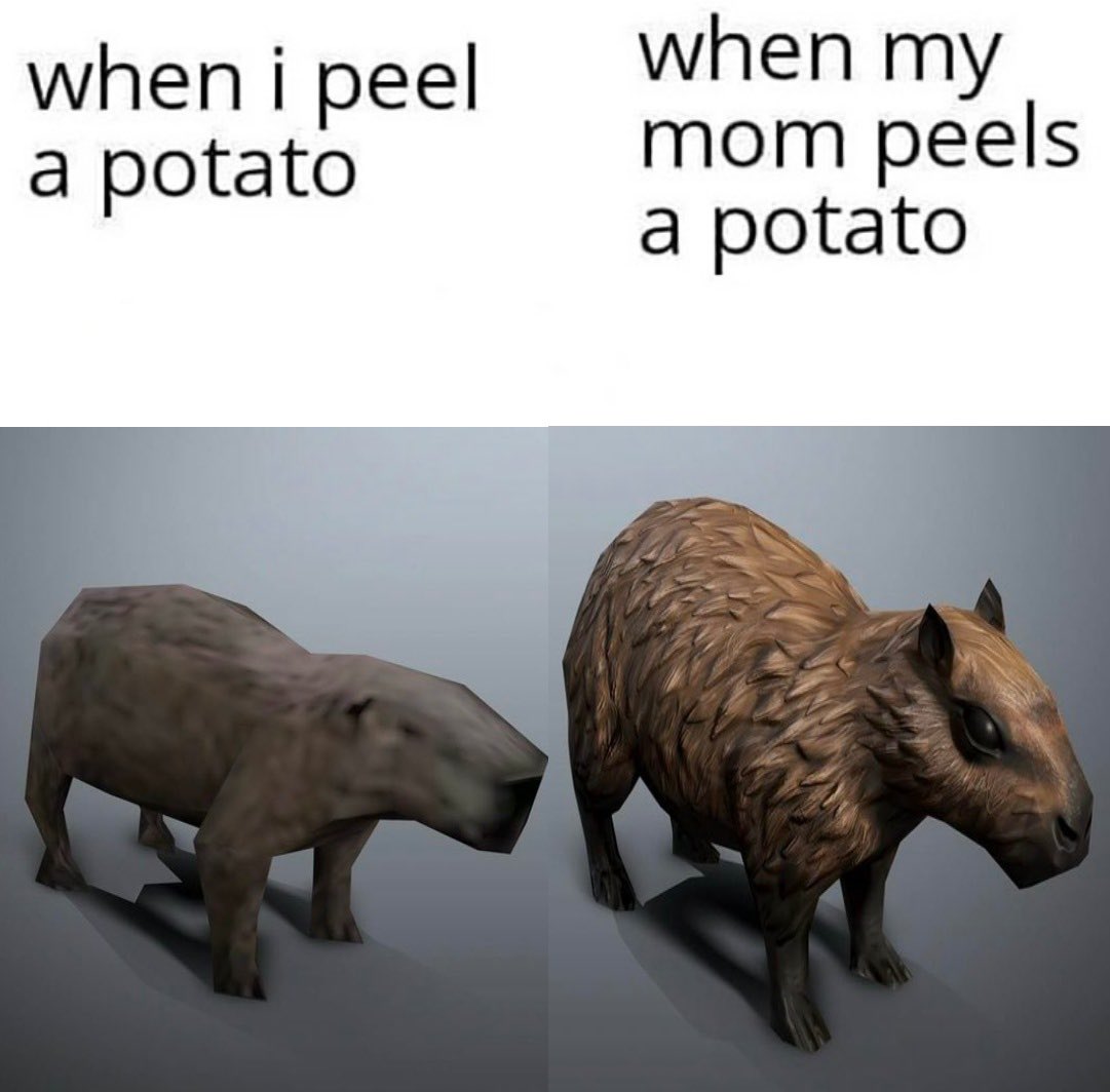 CAPYBARA MAN (@capybara_man) on Twitter photo 