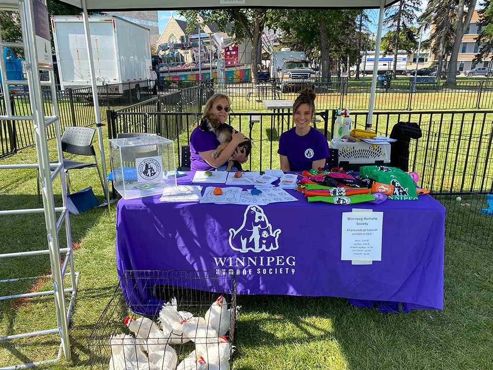 We’re here at <a href="/ManyFestWpg/">ManyFest</a>! Come on down and meet some of our adoptable dogs and our animal advocacy team. Bring your pup for a day of fun at <a href="/300MainWinnipeg/">300 Main Winnipeg</a> pup patio. We’ll be here all three days of ManyFest and can’t wait to say hello.