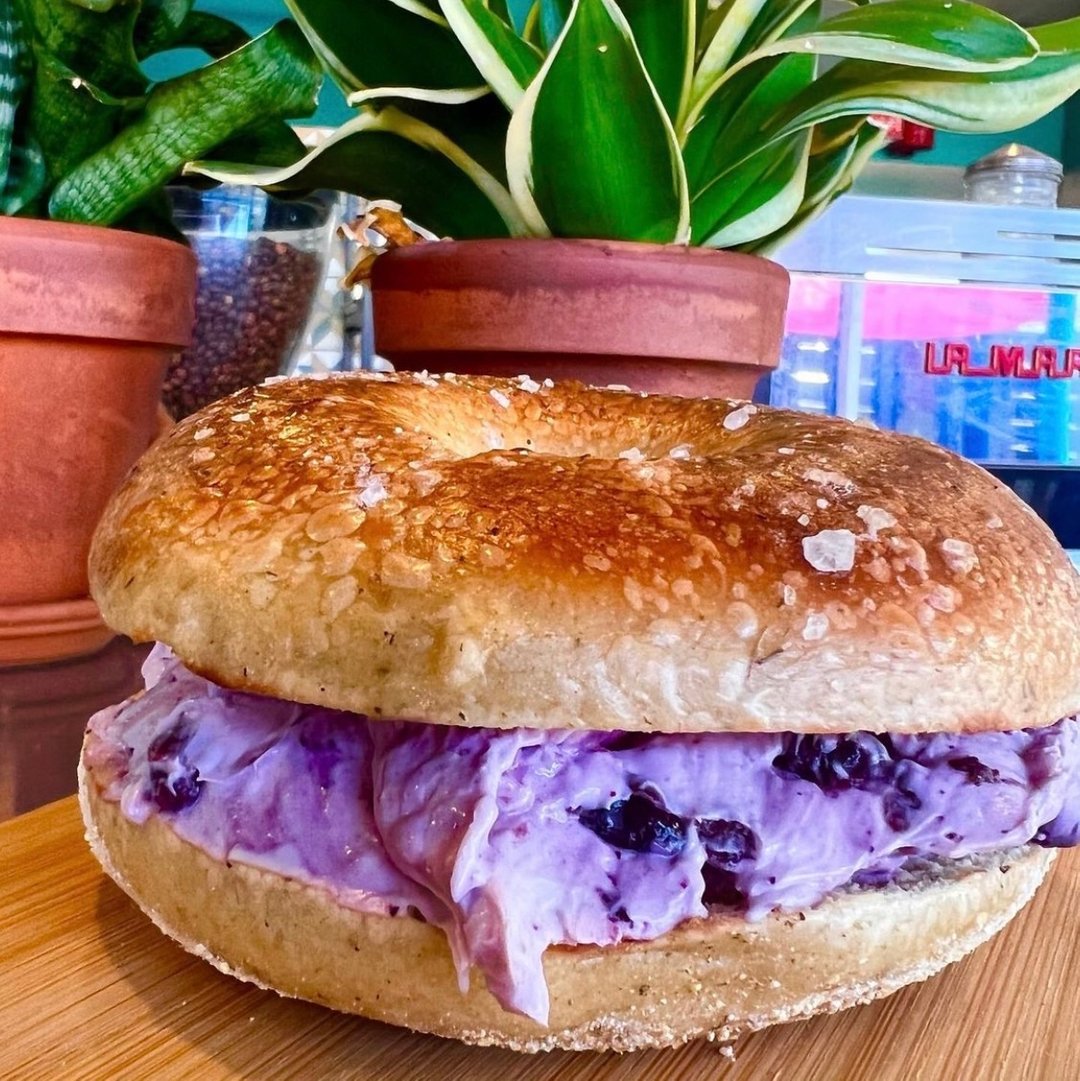 NPMainStreet's tweet photo. Weekend plans? Head to Nomad Donuts to try the new blueberry compote spread with maple syrup. They also have vegan options available. 

 #Northpark #northparksandiego #sandiegofood #sandiego #sandiegoeats #nomaddonuts https://t.co/EEoizTL2gY