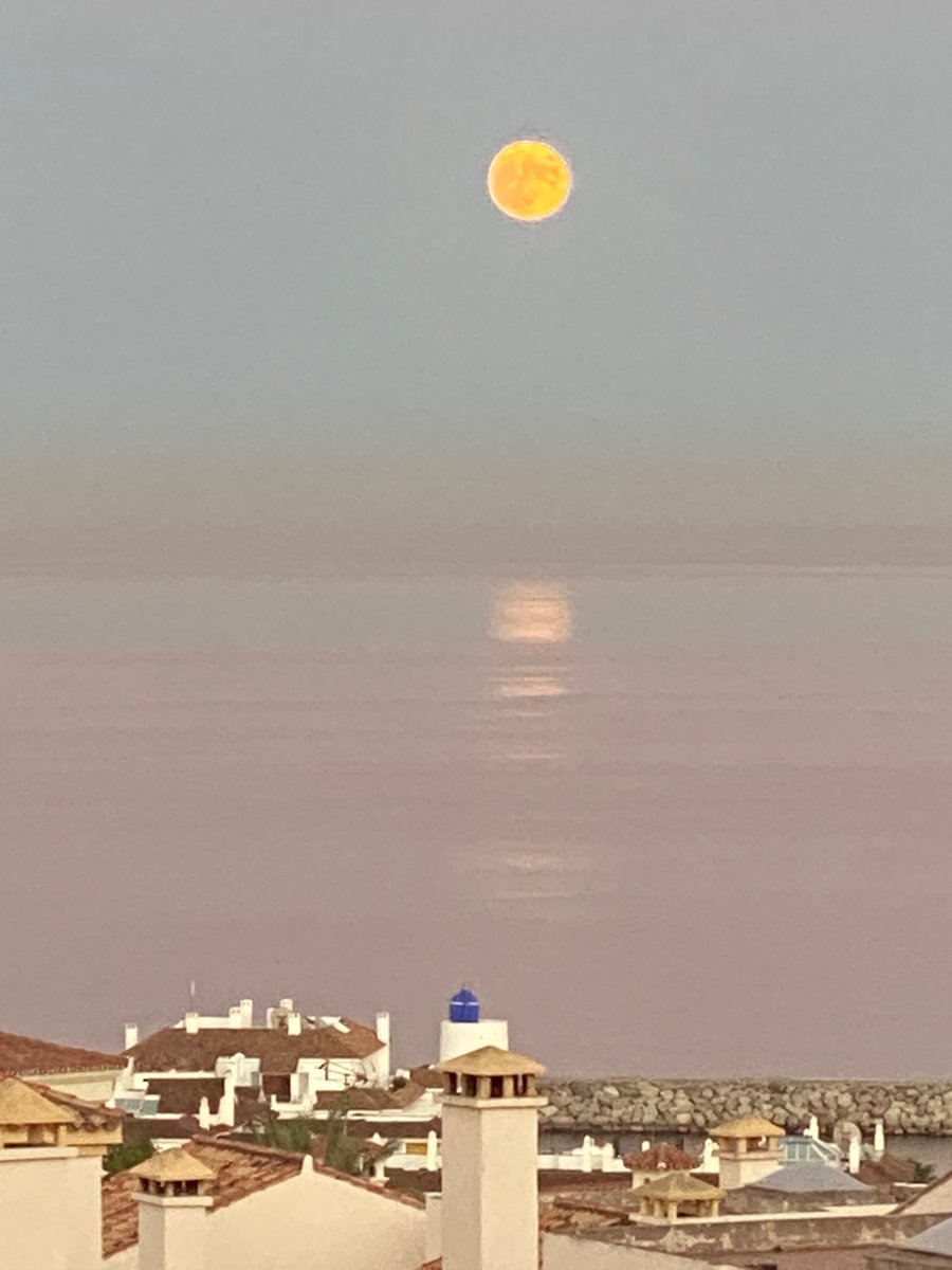 Happy (unusually early) Mid-Autumn Festival! With a phuzzy foto! ;)