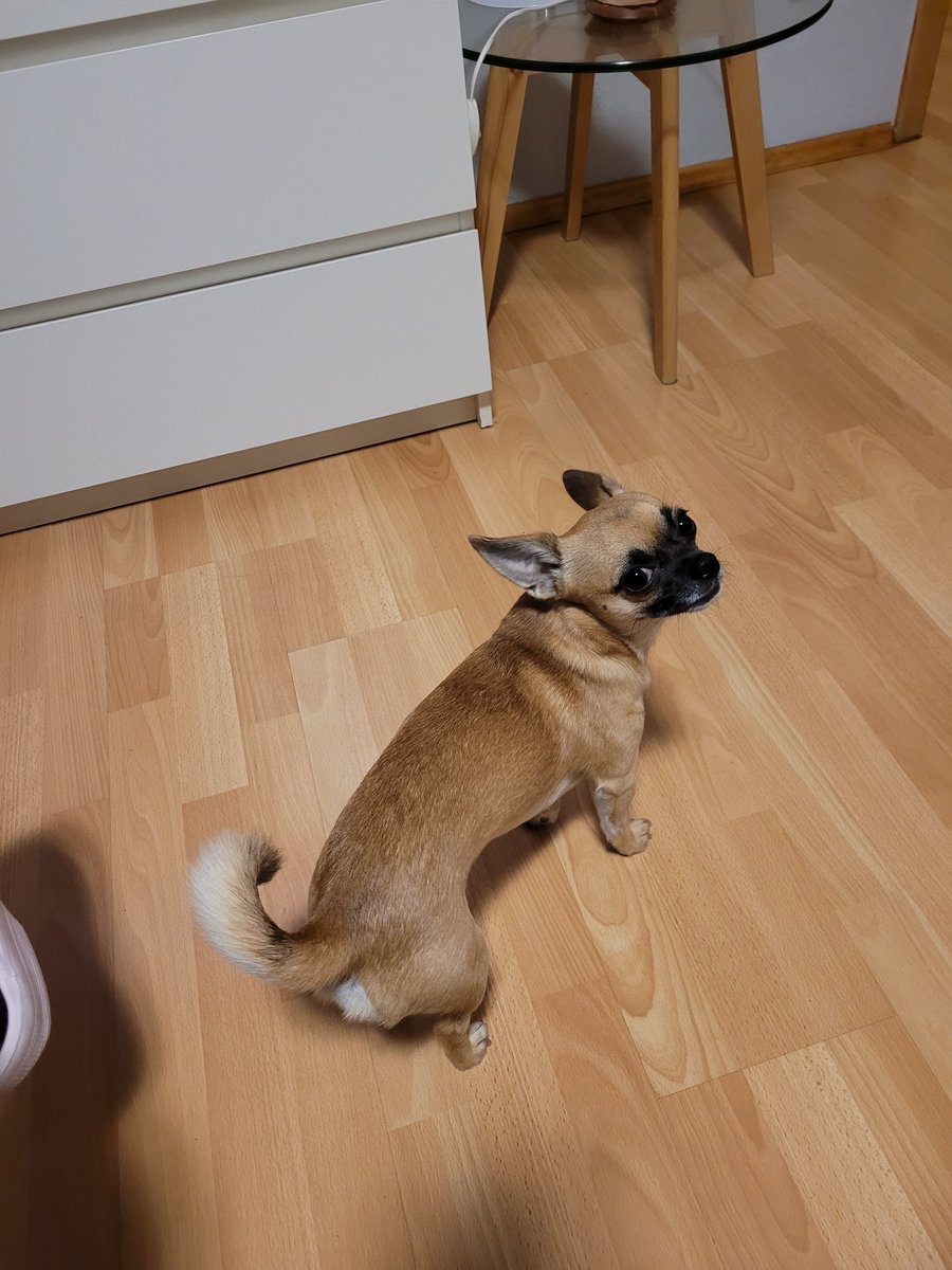 Pfullendorf gemein. Ich habe gegessen, war Pippi und warum geht es jetzt nicht ins Bett?