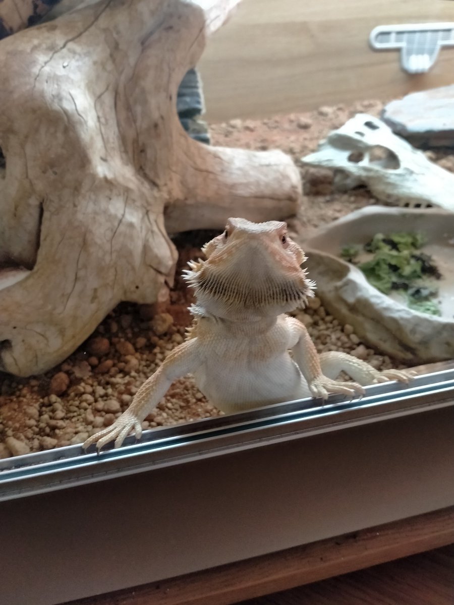 Lis Galloway tweet media