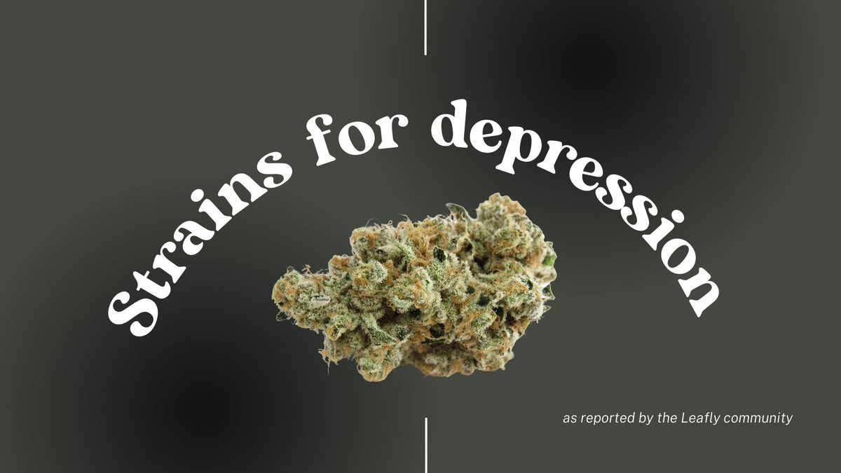 Leafly's tweet image. These are the strains most reported in the Leafly database for their depression-alleviating qualities. Depression is serious so speak with your doctor about a holistic care plan. Leafly is with you. 💚 💚 bit.ly/3qv8Gkt