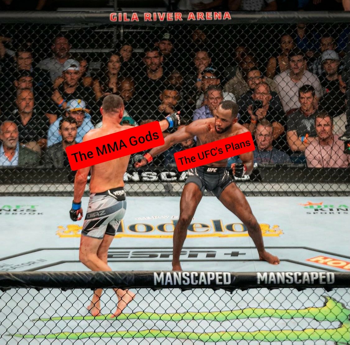 Rage_Potato_902's tweet image. #UFC279
#NickDiazArmy
#NDA
#DiazArmy
#KhamzatDiaz