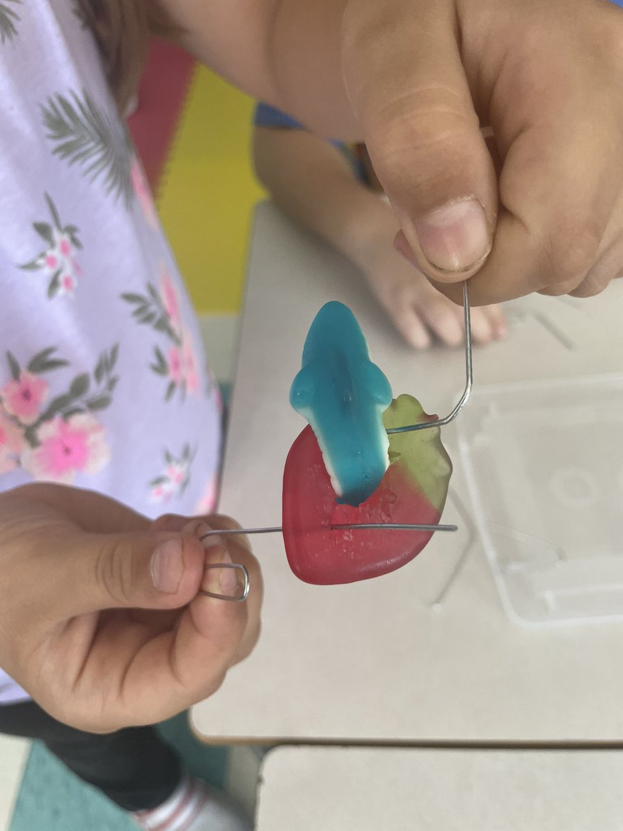 MrsKGeorge2's tweet photo. Finishing off a fabulous first week with a little βteamwork challenge!β β¦ can you guess what we had to do?!? π₯°π₯³π#STEM #SavingFred https://t.co/NFKr3x0urp
