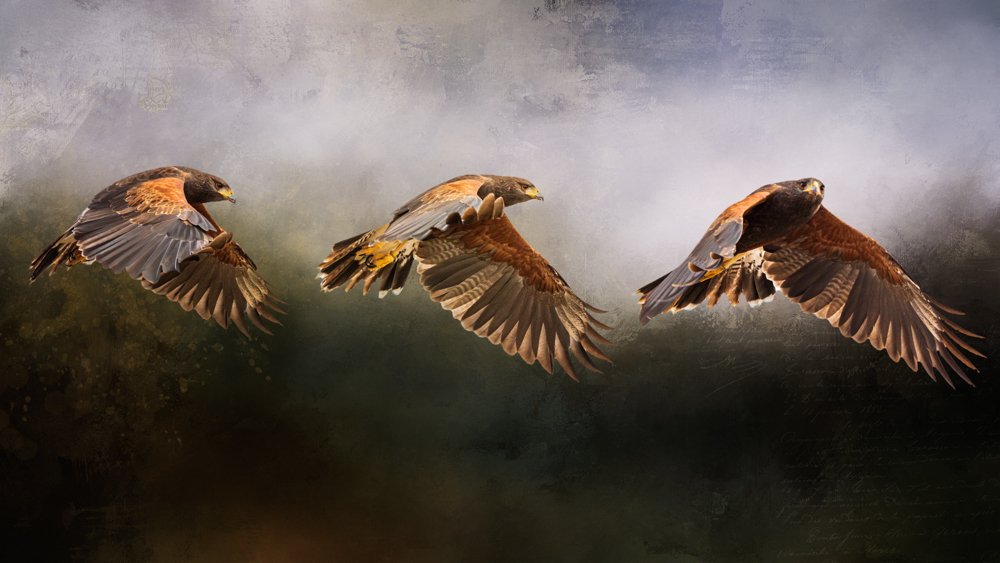 gm frens!

I'm working on getting my "Wings in Time" digital art collection on my own manifold smart contract. What are you doing today?

💙💚💙💚