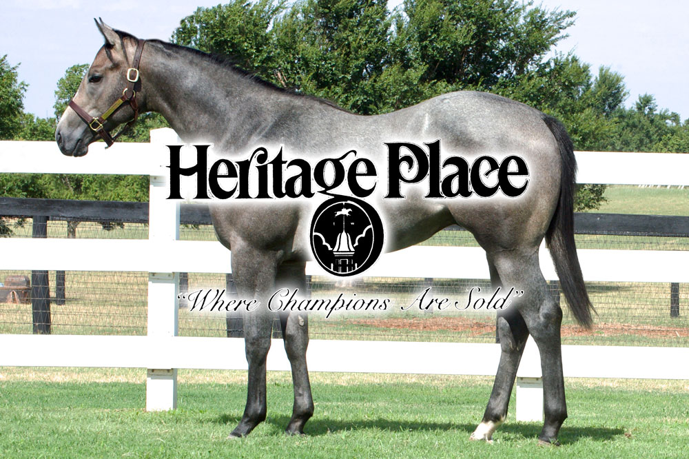 Check out photos and catalog pages for the yearlings featured in the Lazy E Ranch consignment to the 2022 Heritage Place Yearling Sale:   ow.ly/BCHi50KFN7a

Check back for videos SOON!