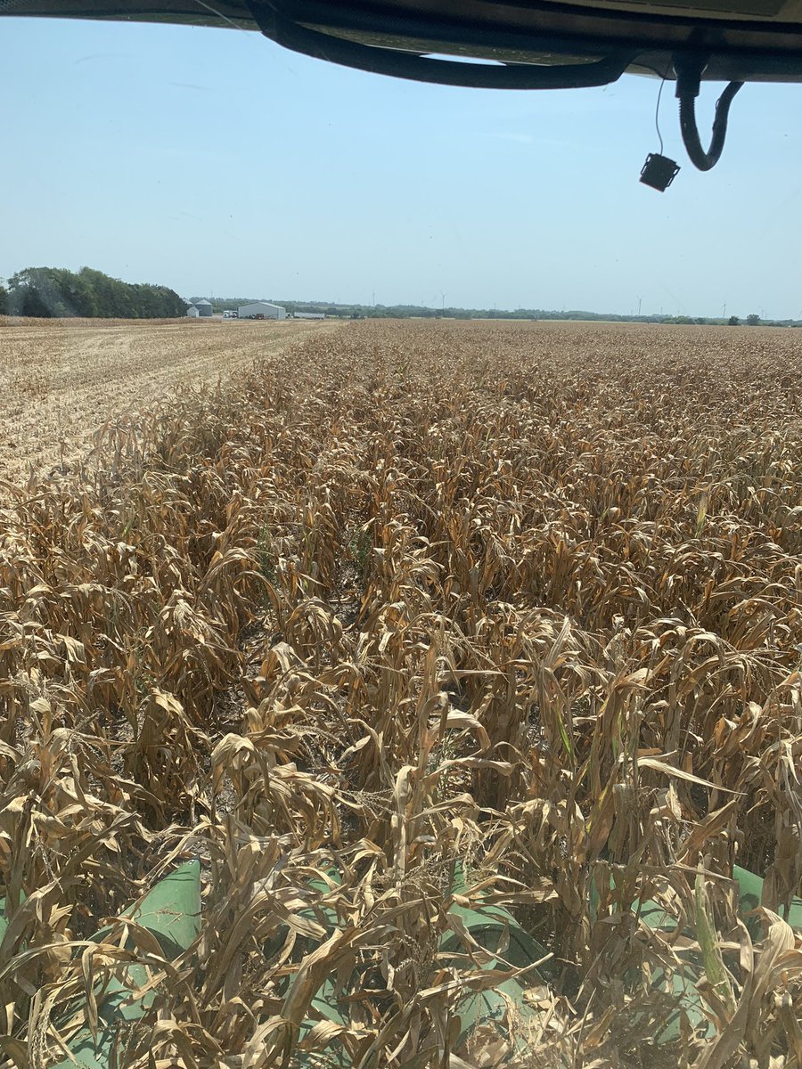 VyhEquip's tweet photo. Harvest is here🌽 15 moisture 85 yield https://t.co/J7T9lOfE57