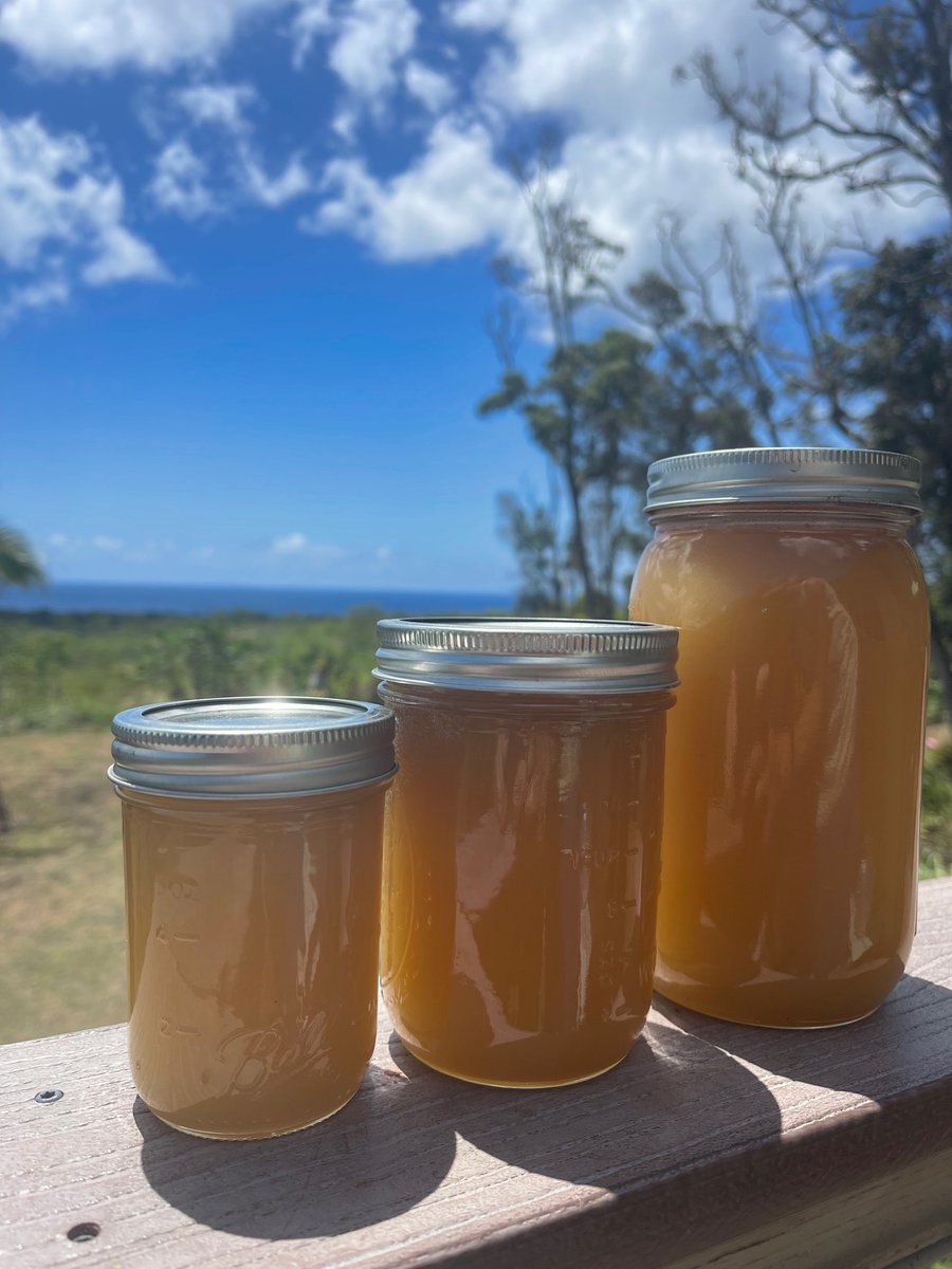 Lavas_End's tweet photo. We are happy to share with all of you our first harvest and products available for purchase through #FarmToCar Hawaii, proudly serving residents of #Puna. Our #honey and white #pineapple starters are featured products! Thank you for your support. 

https://t.co/pwvetm524U https://t.co/NZSakHrKPh