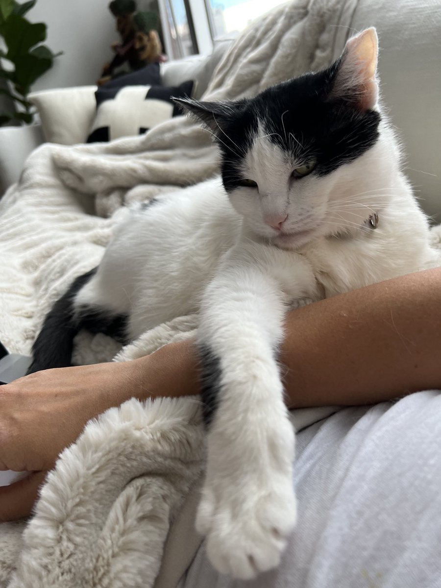 toteswondY's tweet photo. It’s been 65 days since I lost my bundle of joy to cancer. Today is extra hard for some reason, I don’t know why. Some days the pain just overtakes me out of nowhere. I just straight up miss cuddling with my little baby who made me so happy. https://t.co/mzzVLXLbgd
