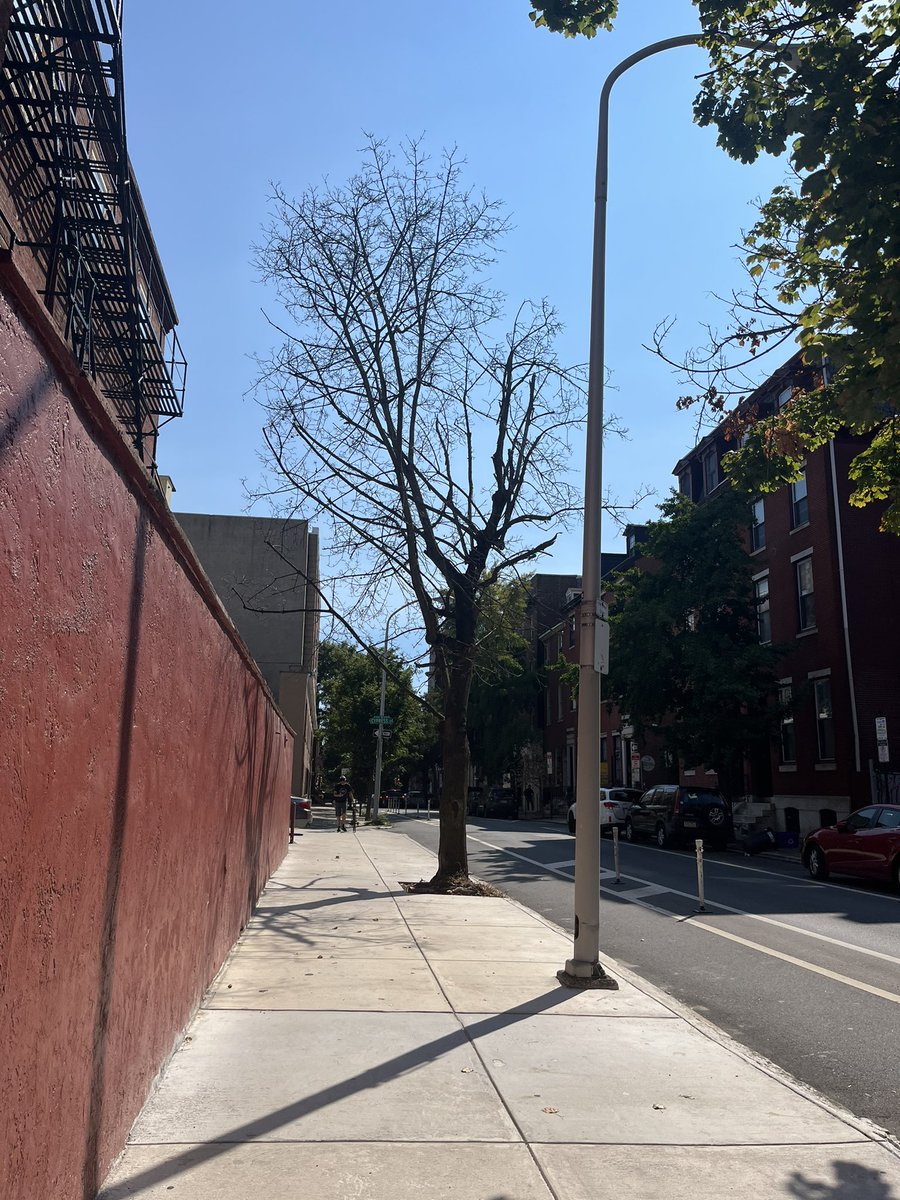 Jennifer Hurley tweet media