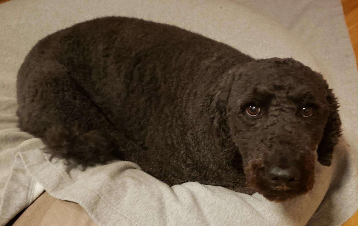 LEMEEATEM's tweet image. how