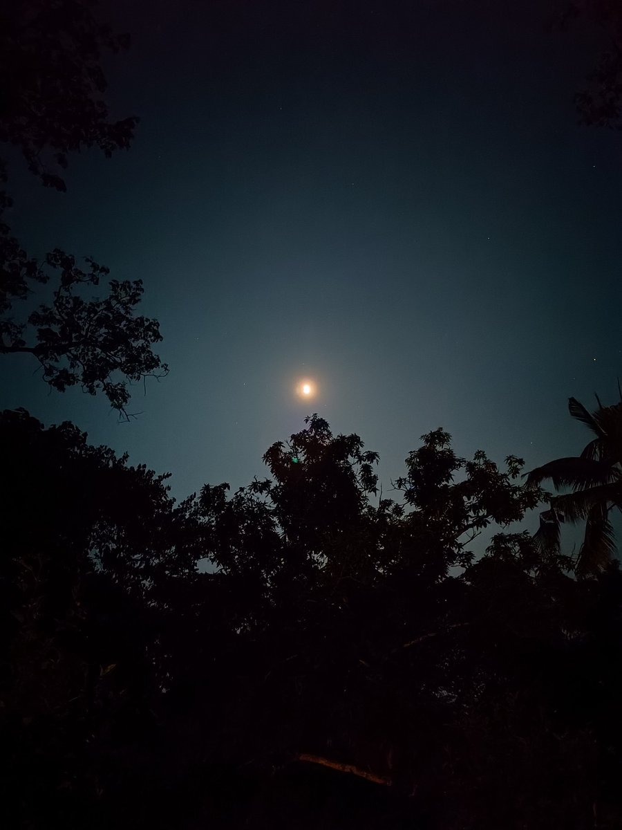 Sankha Pal tweet media