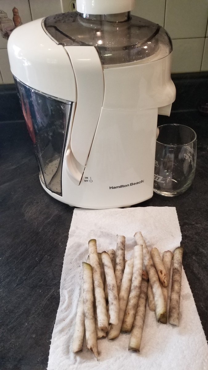 AmandaTracey12's tweet photo. Cheers everyone! 
Juicing some sugarbeet cores to check Brix levels and estimate % sugar. 
Did you know sugarbeet juice had a pink tint to it?? Me neither! https://t.co/P8GZXOk7lA