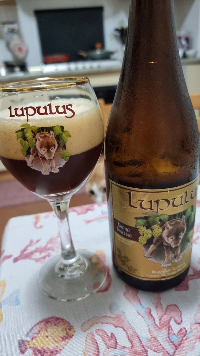 Marco__Samp's tweet photo. La bionda era finita ho preso la bruna.. orgasmo 🔥
#Lupulus ❤️🍻 https://t.co/3tRYBeZ2Tr