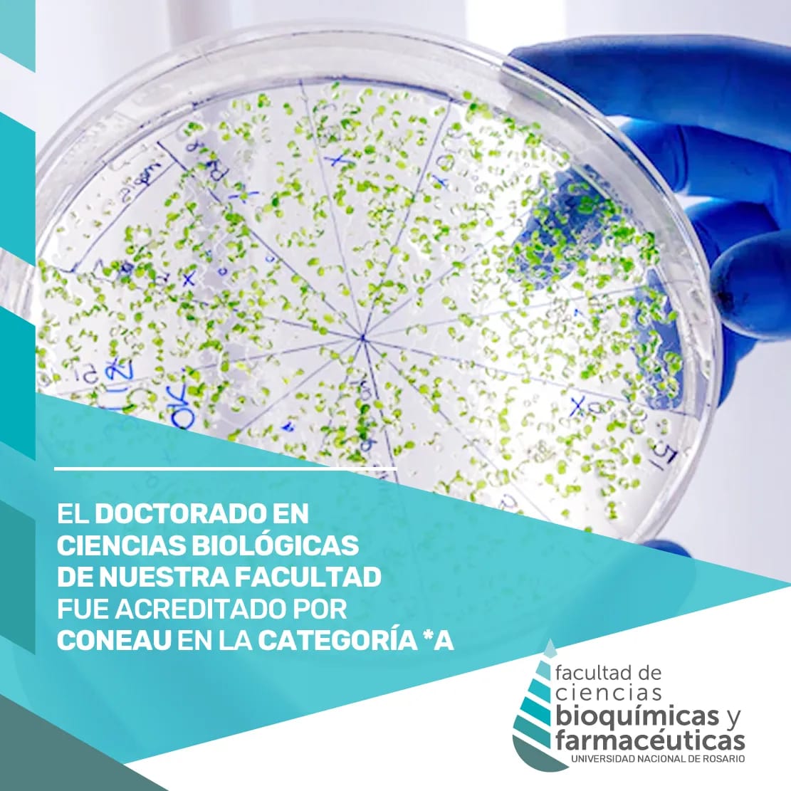 FBIOyF UNR Facultad Cs Bioquímicas y Farmacéuticas tweet media